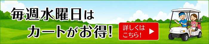 毎週水曜日はカートがお得